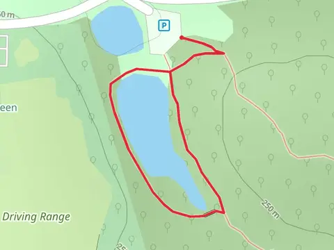 Par Drive Loop