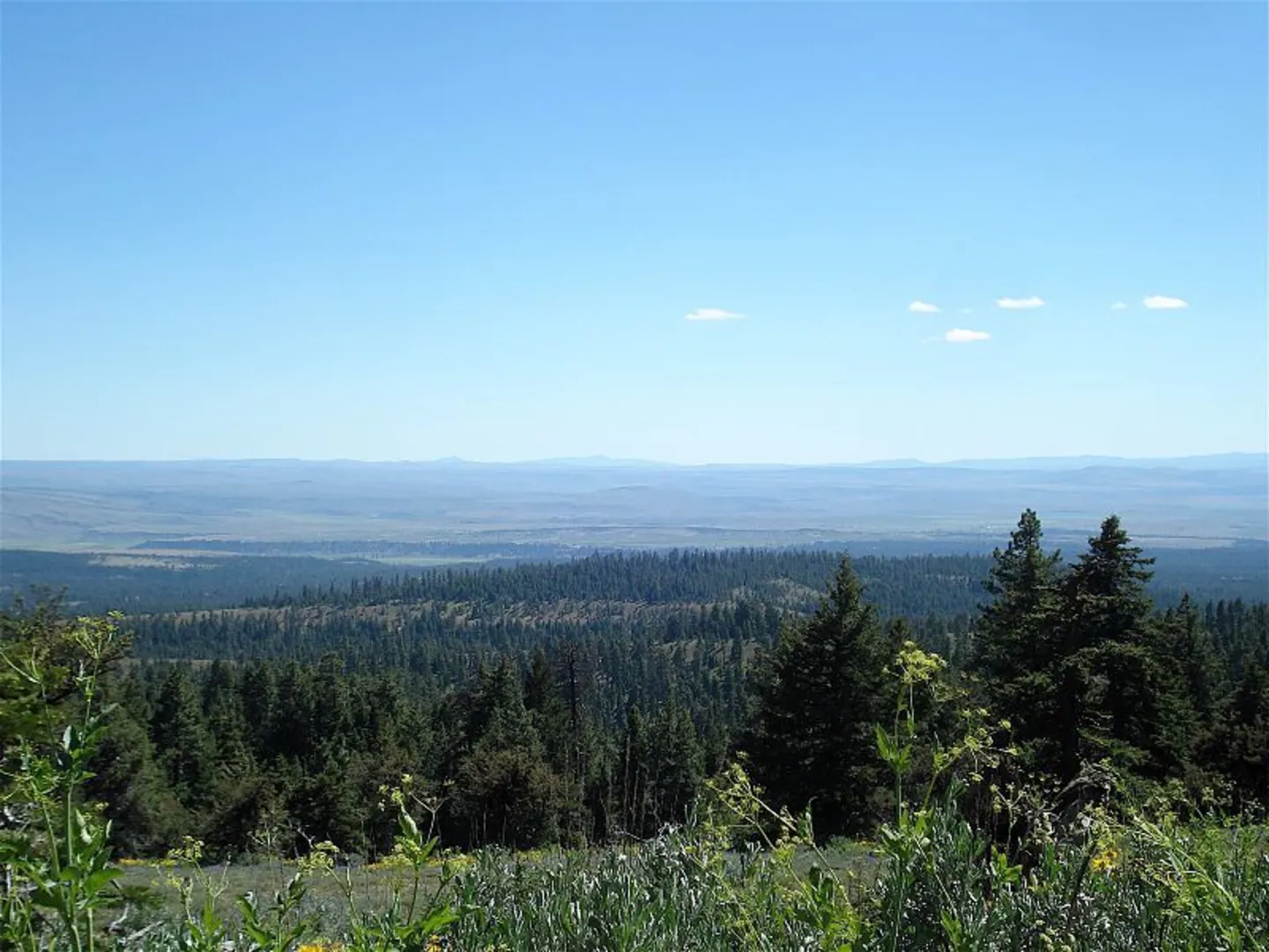 An image depicting the trail Payten Trail and its surrounding area.