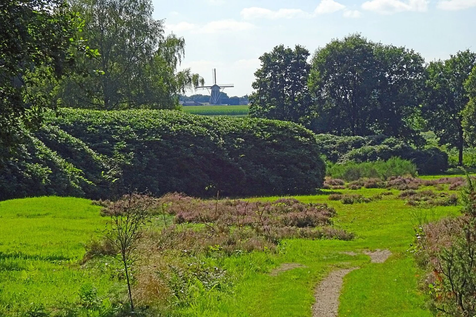 An image depicting the trail Boeschoten and Jachtlaar Loop and its surrounding area.