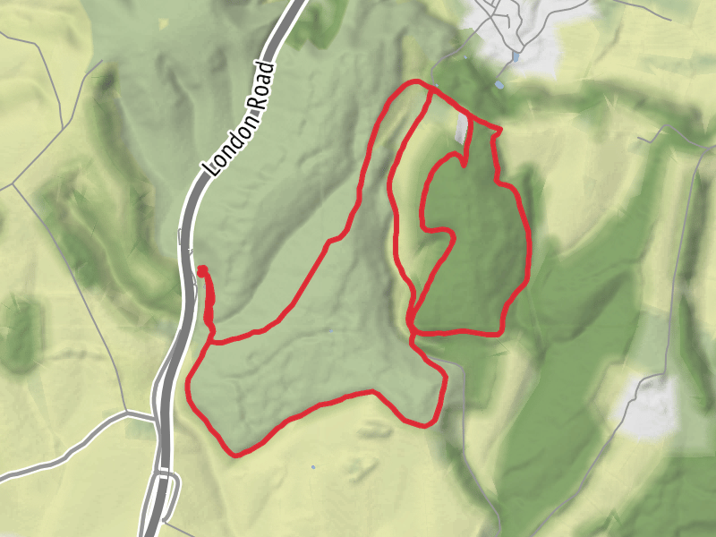 East Hampshire Trail Running thumbnail