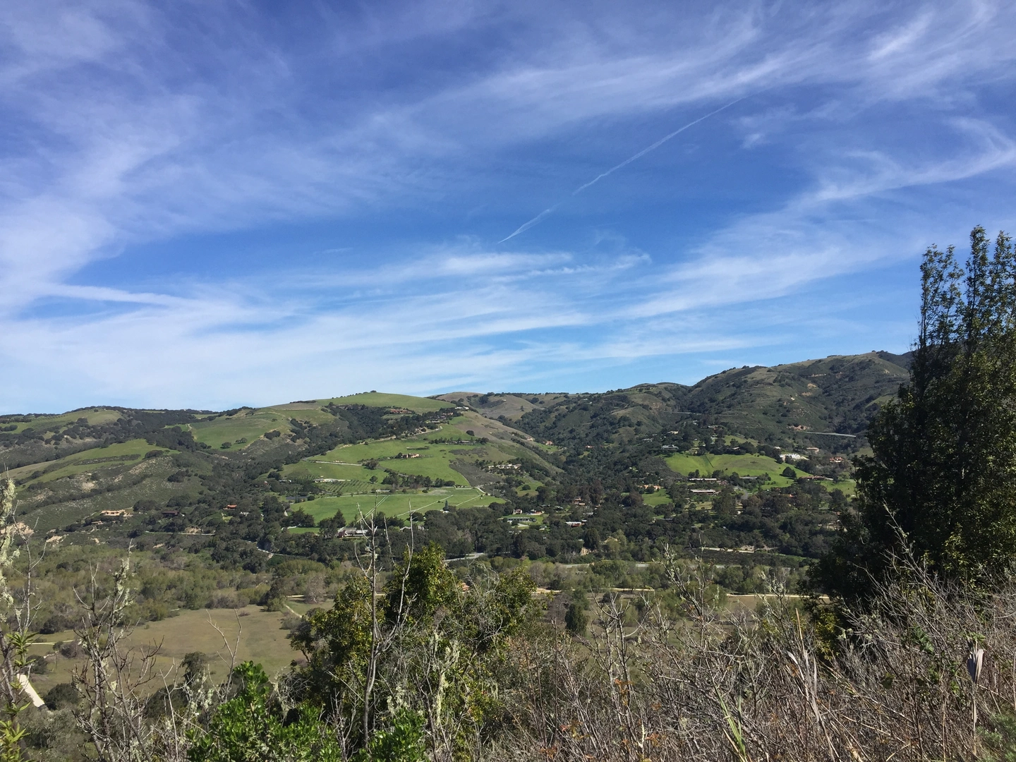 An image depicting the trail Manzanita Loop Trail - Hitchcock Canyon Road and its surrounding area.
