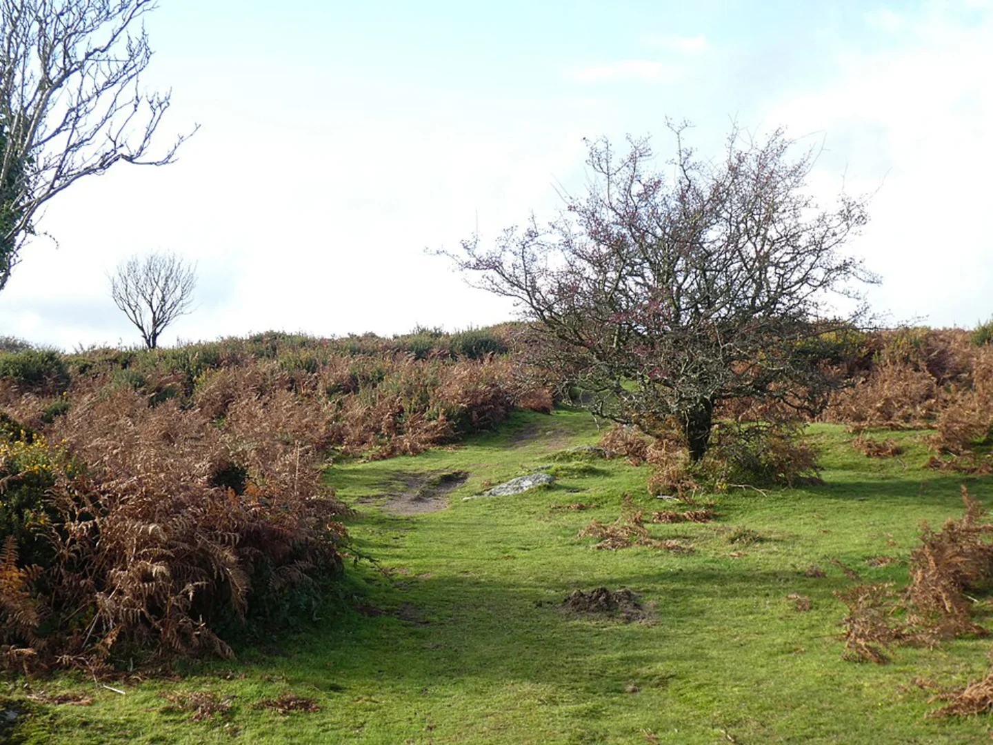 An image depicting the trail Cranbrook Hill Fort via Hunter's Path and its surrounding area.