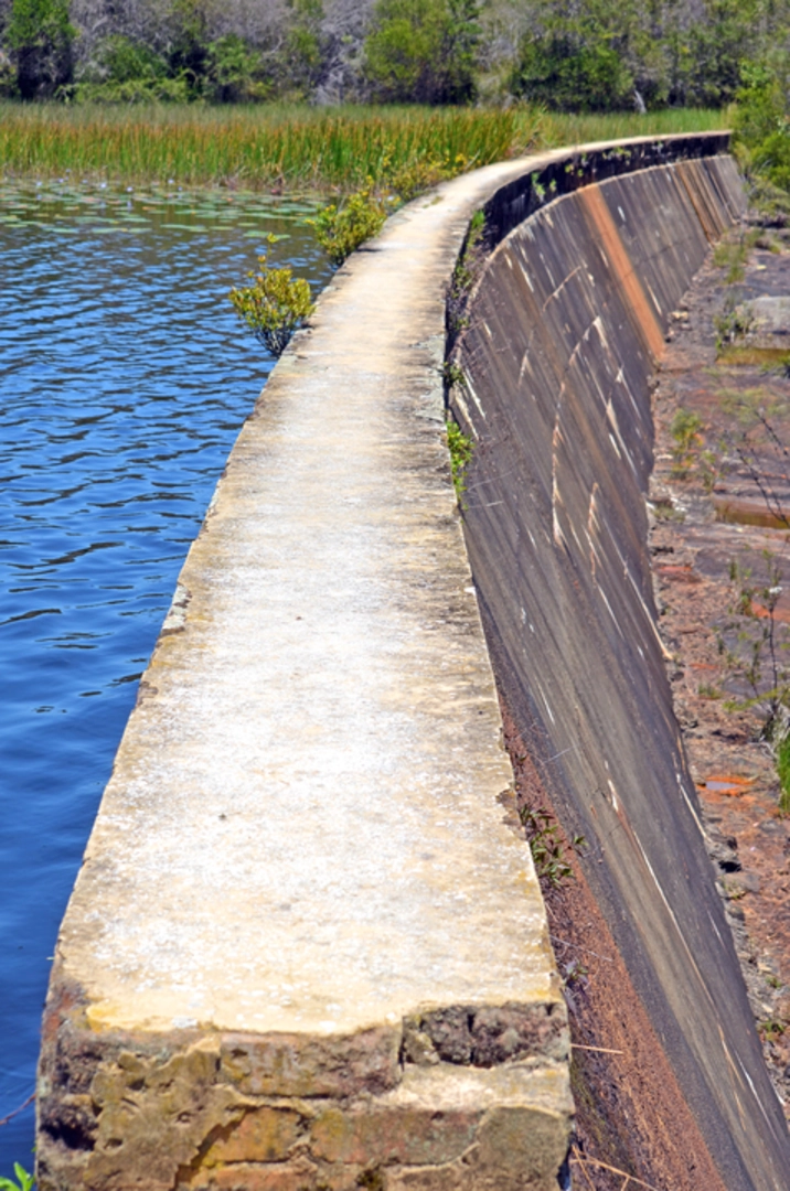 An image depicting the trail Lake Toolooma Trail and its surrounding area.
