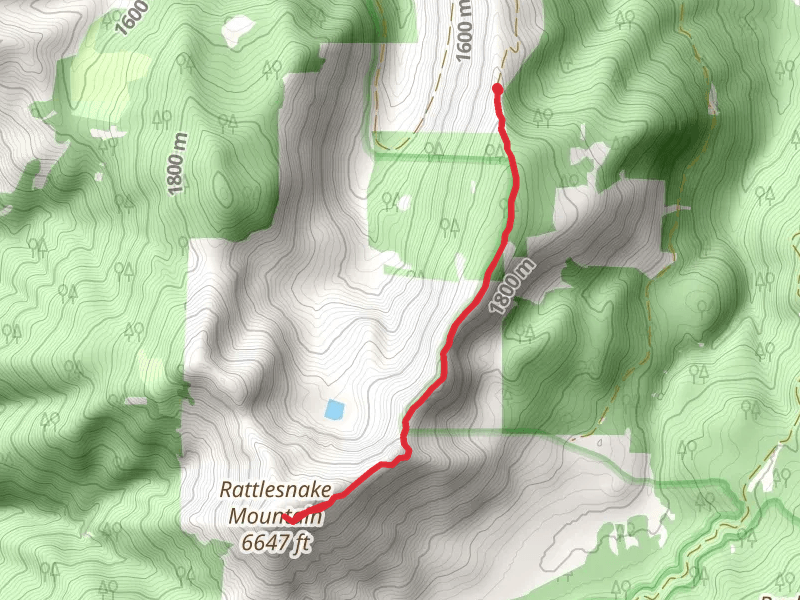 Rattlesnake Mountain
