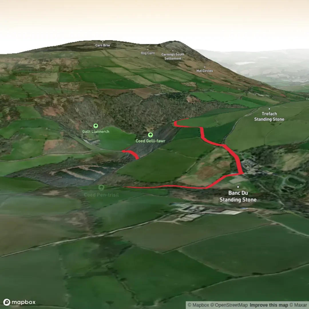 An image depicting the trail Gellifawr Hike and its surrounding area.