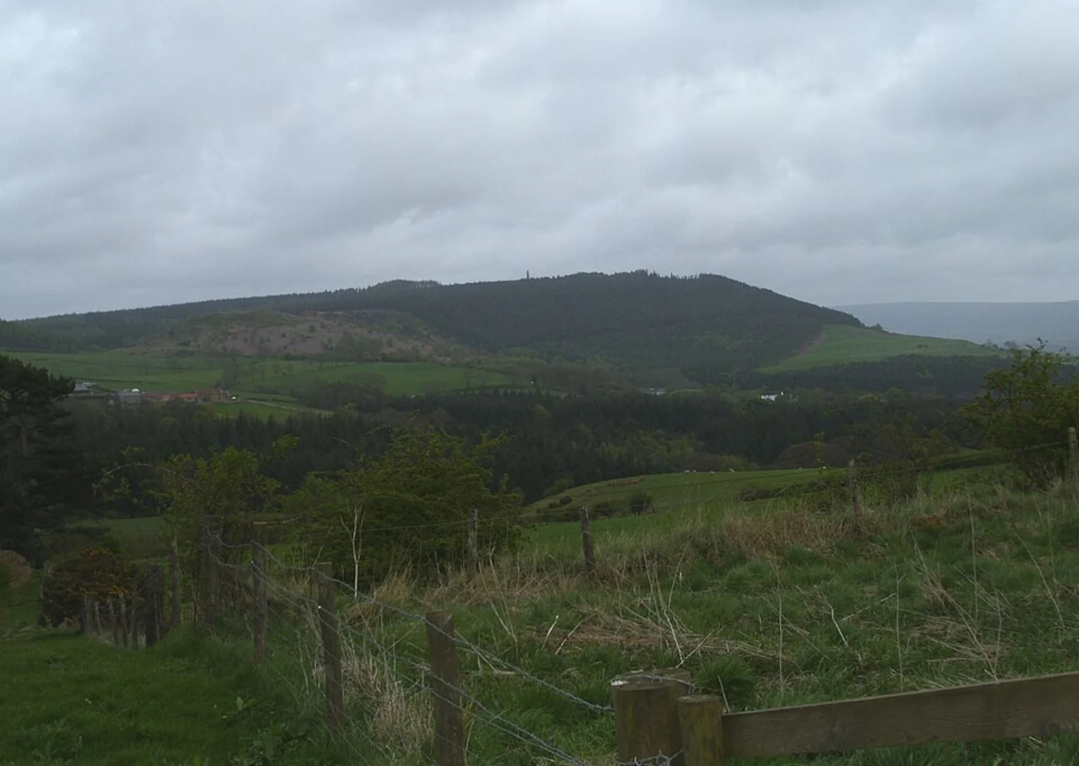 An image depicting the trail Ayton Banks Wood and river Leven Loop and its surrounding area.