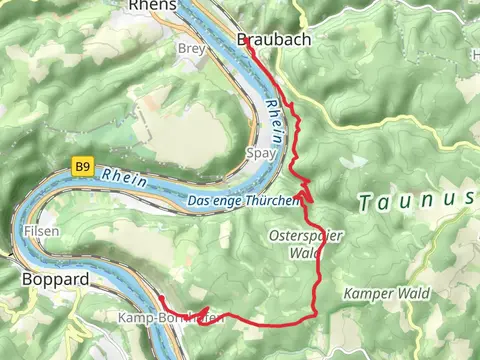 Kamp Bornhofen to Braubach via Pfählsberg and Rhine