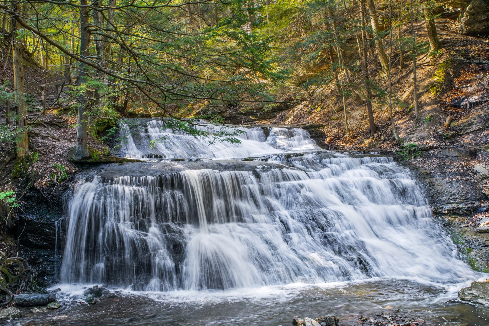 An image depicting the trail Hell Hollow Waterfall via Beech Ridge Loop Trail and Wildcat Trail and its surrounding area.
