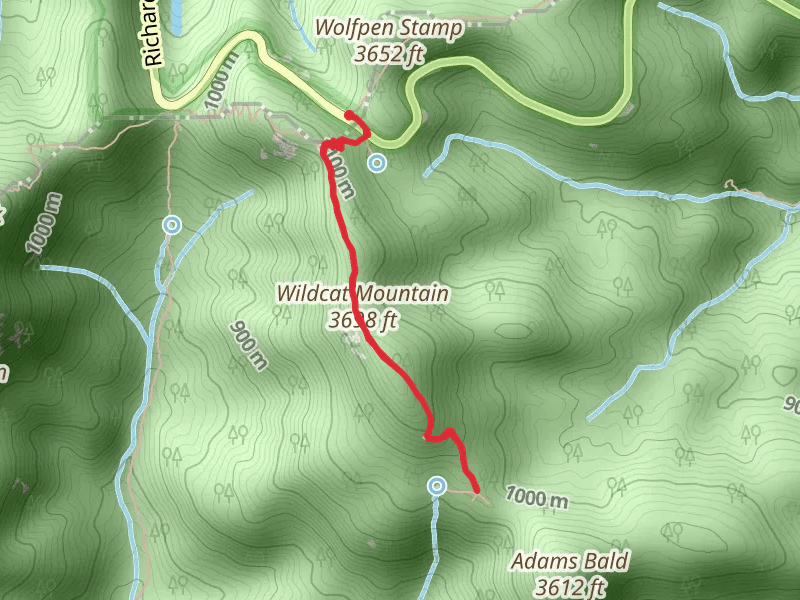 Wildcat Mountain via Appalachian Trail