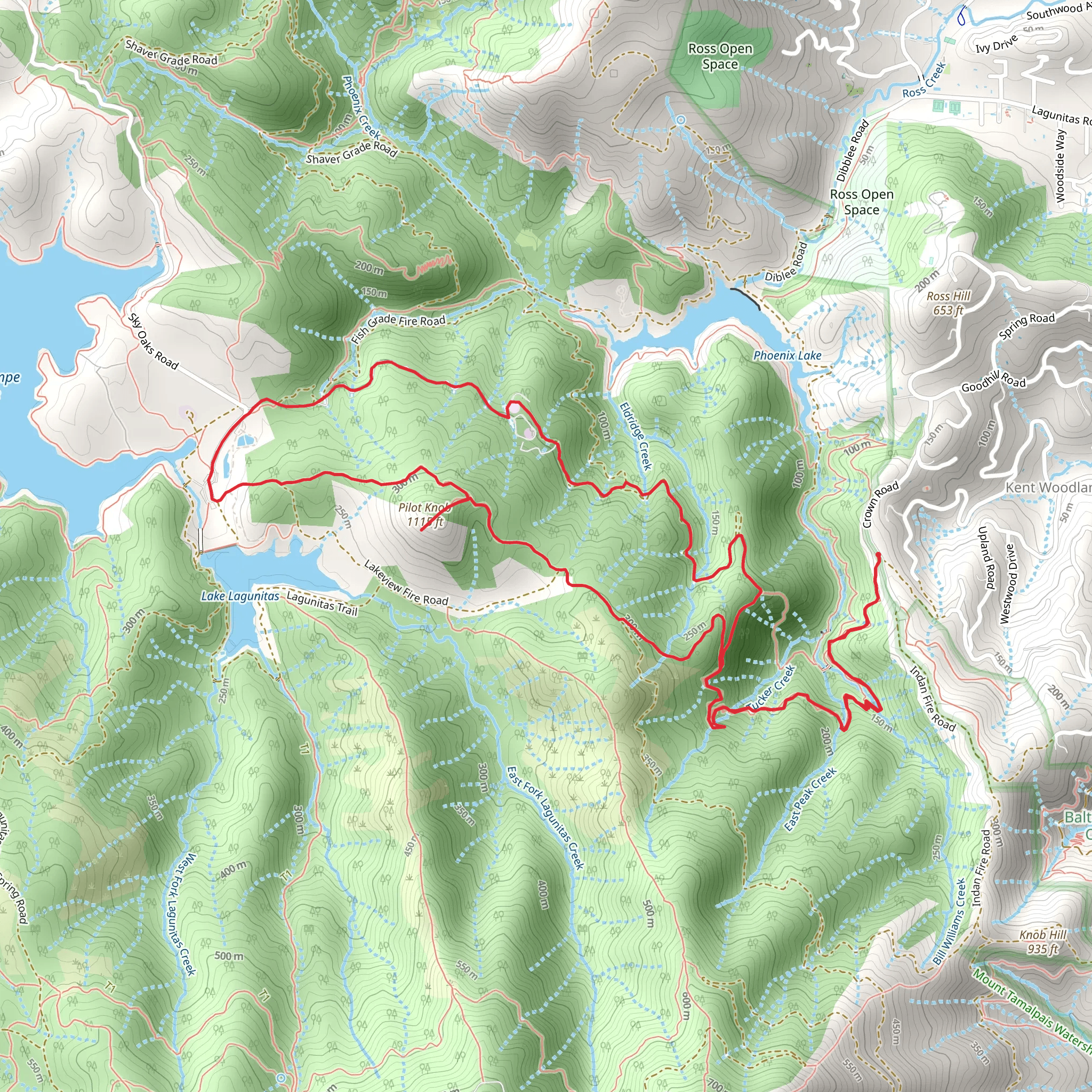 Tucker Cutoff and Pilot Knob Loop Trail mobile static map