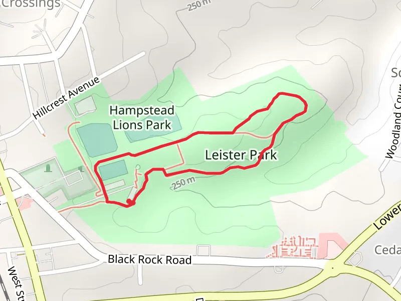 Leister Park Loop