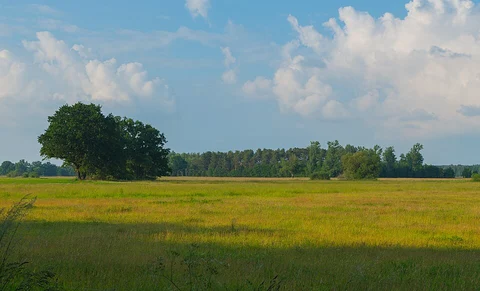 Burgstaedt and Hartmannsdorf Loop