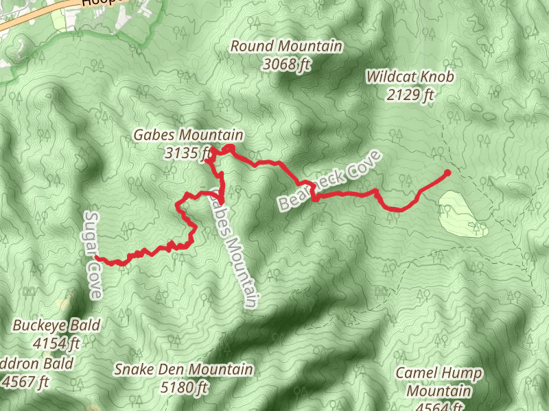 Bearneck Gap and Gabes Mountain Trail