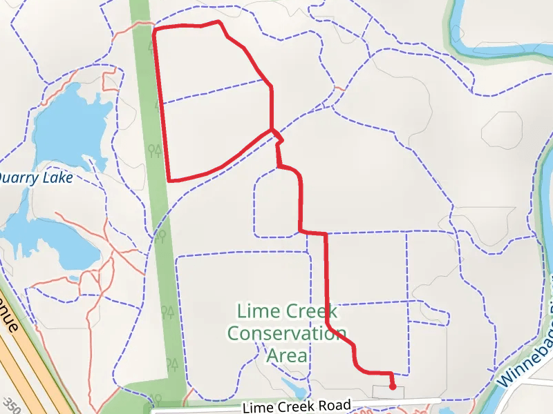 Barred Owl Loop