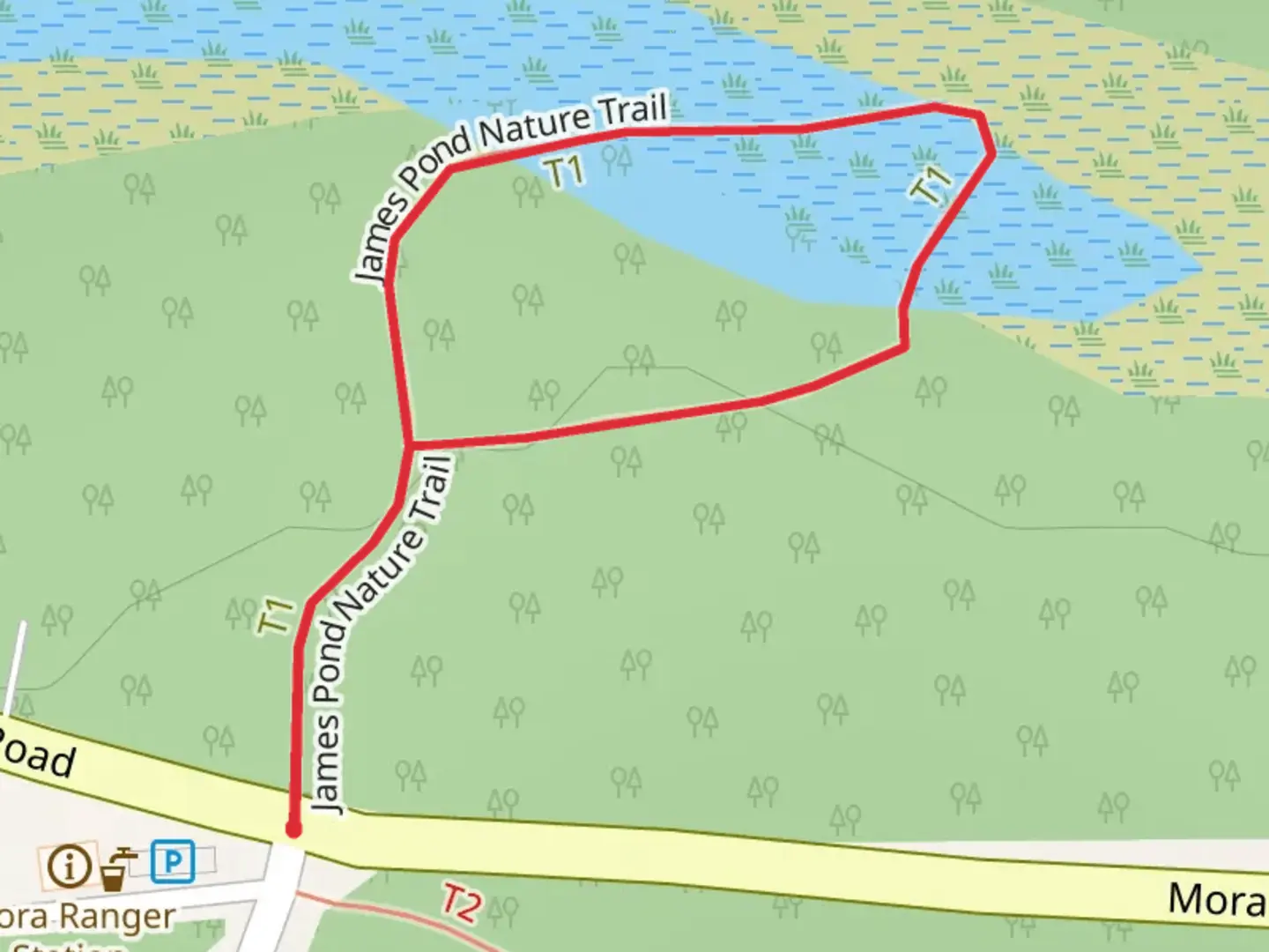 An image depicting the trail James Pond Nature Loop Trail and its surrounding area.