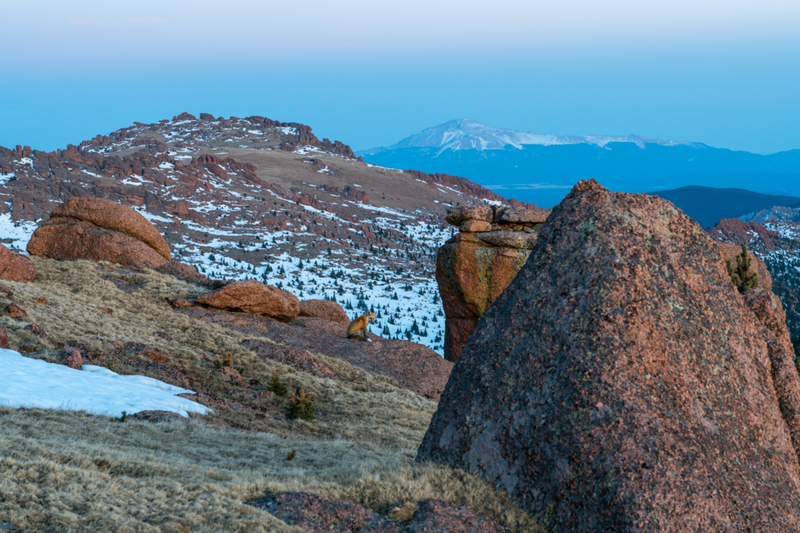 An image depicting the trail Brookside - Mccurdy Trail and its surrounding area.