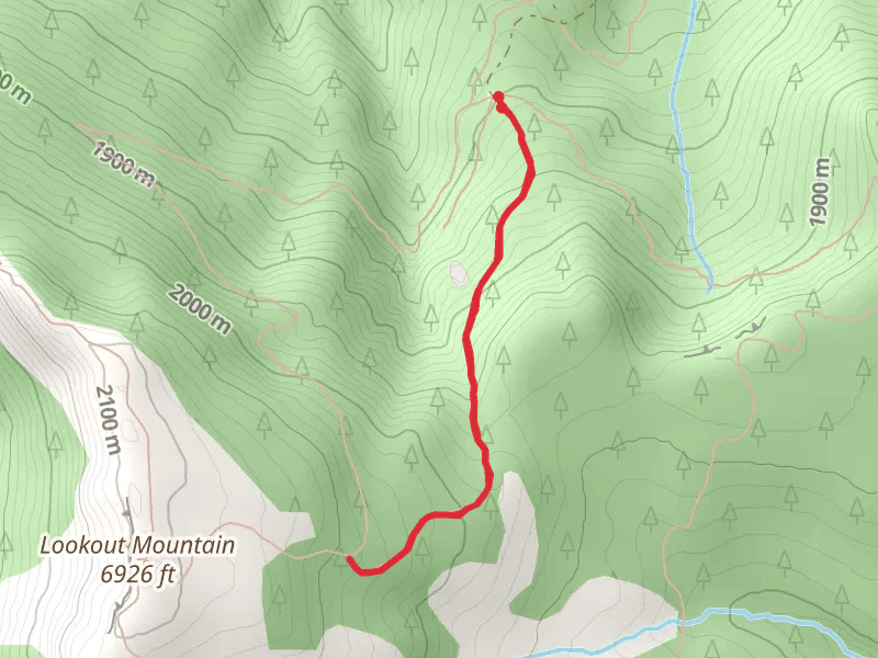 Mother Lode Mine Trail