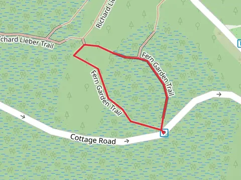 Fern Garden Loop Trail