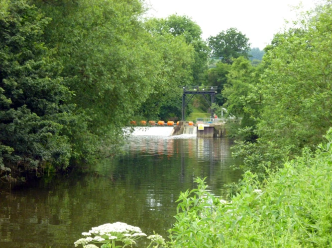 River Medway and Waregrave's Wood
