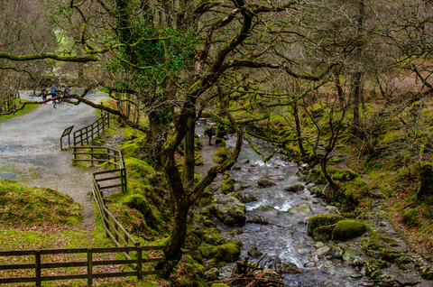 Wicklow Way