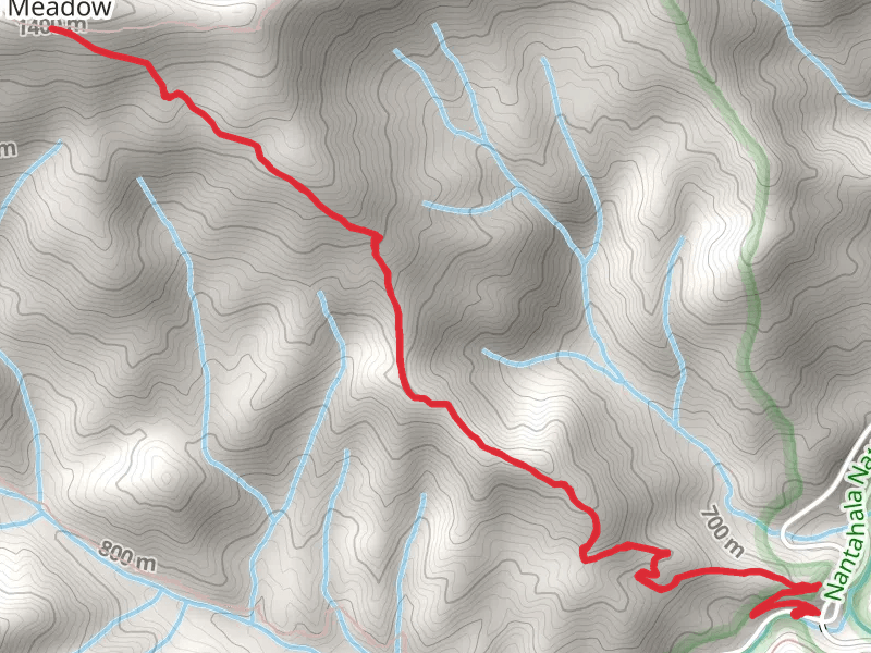 Jenkins Meadow Trail