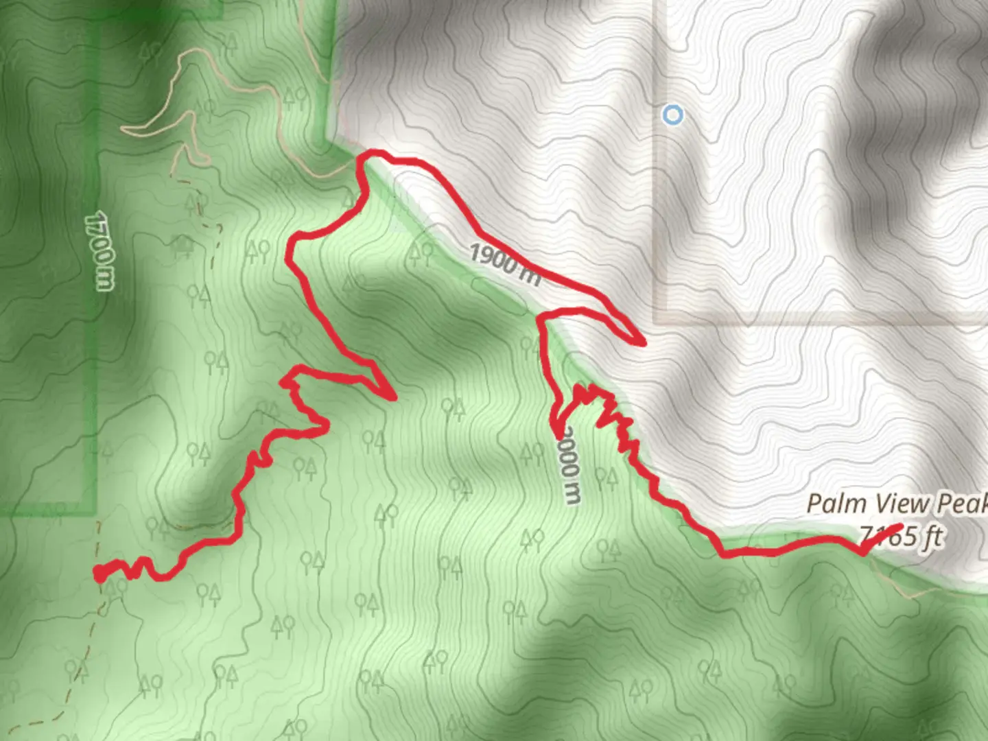 An image depicting the trail Palm View Peak and its surrounding area.