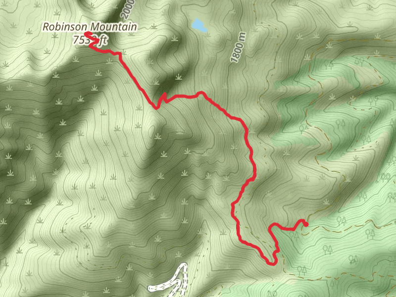 Robinson Mountain Trail