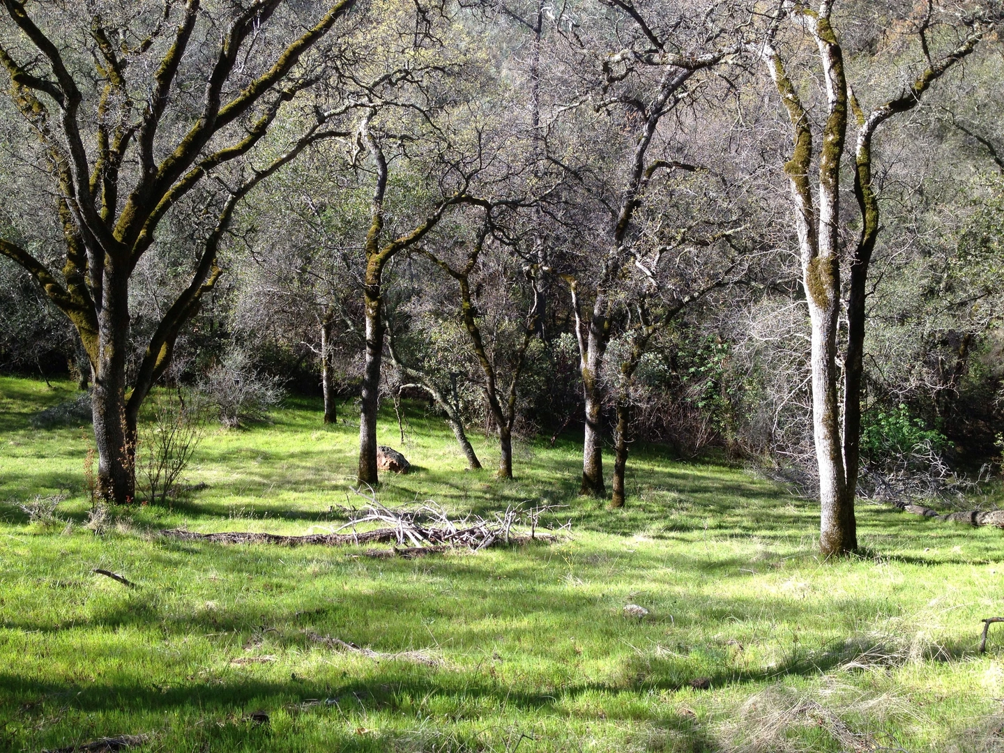 An image depicting the trail Hidden Falls Regional Park Loop and its surrounding area.