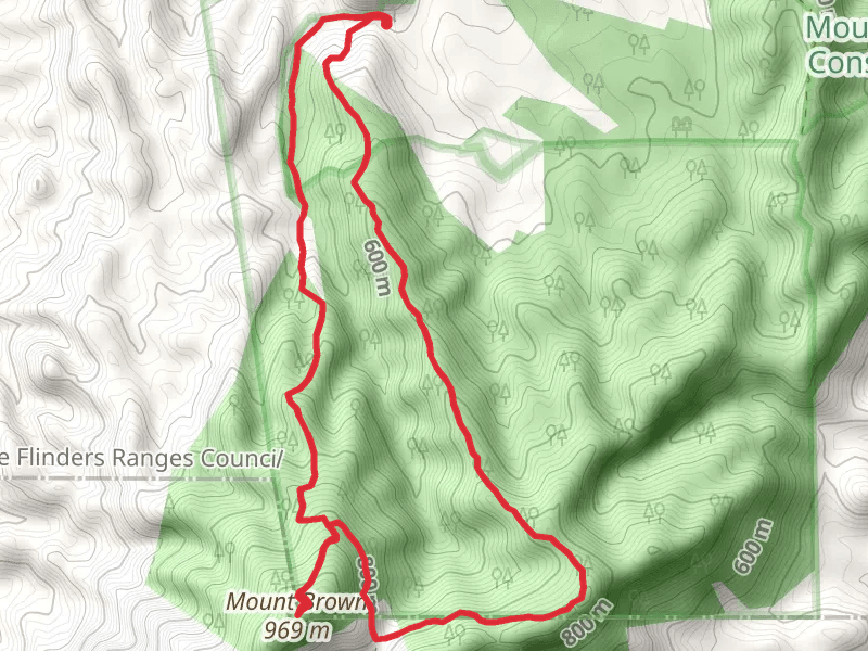 Mount Brown Summit Walk