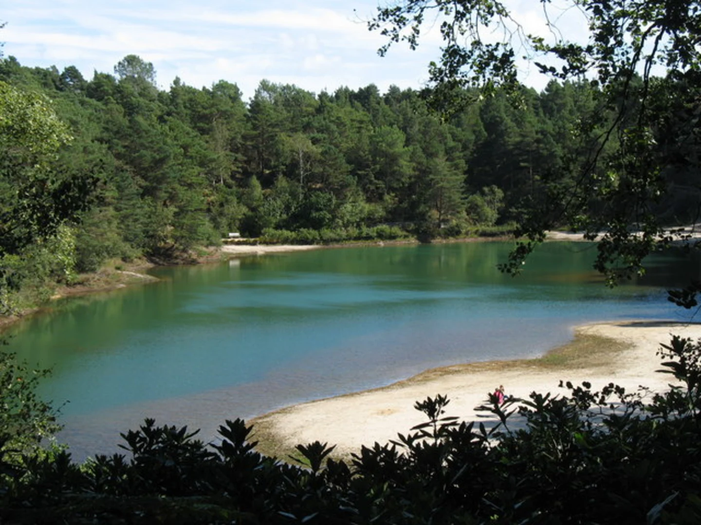 An image depicting the trail Blue Pool Dorset Loop and its surrounding area.