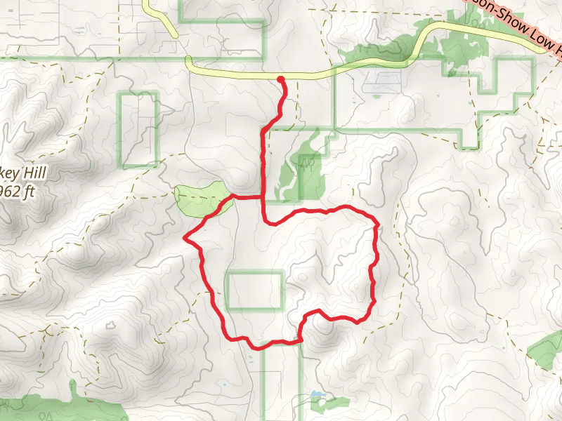 Juniper Ridge Short Loop Trail