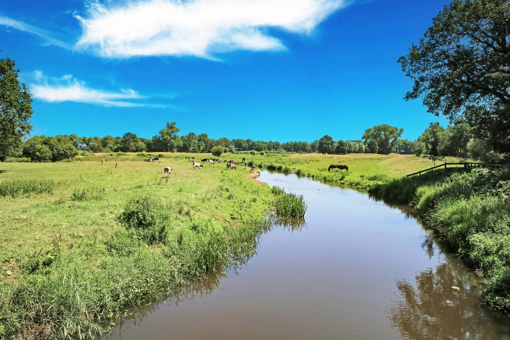 An image depicting the trail Engelenstede via Ons Kloosterpad and Rondom de Sint Jan and its surrounding area.