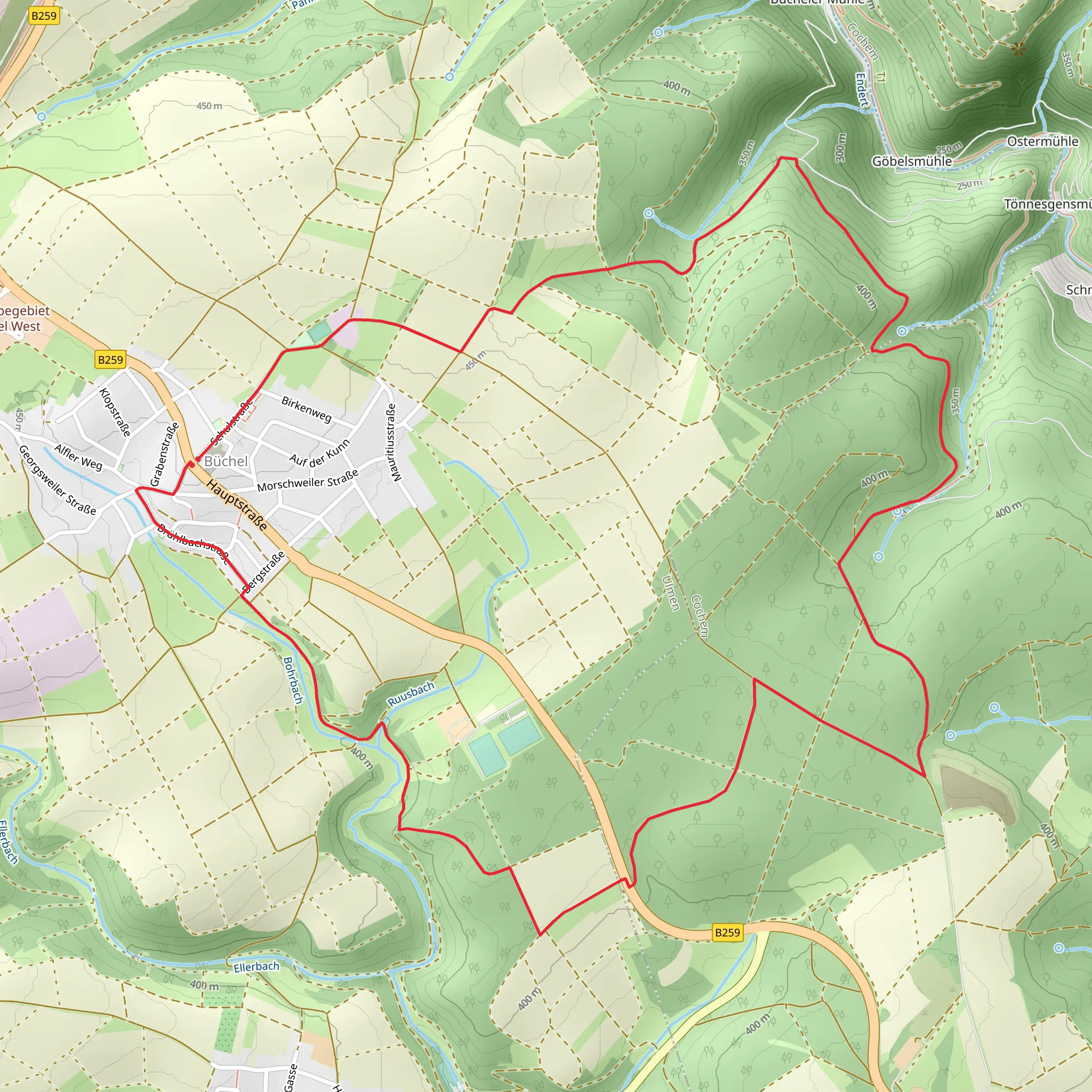 Buecheler Wanderweg mobile static map