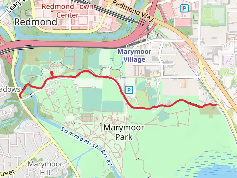 Marymoor Connector Trail