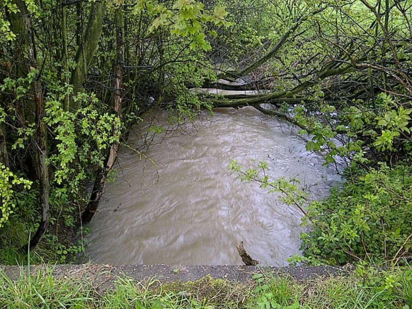 An image depicting the trail Broad Bridge Dike and its surrounding area.