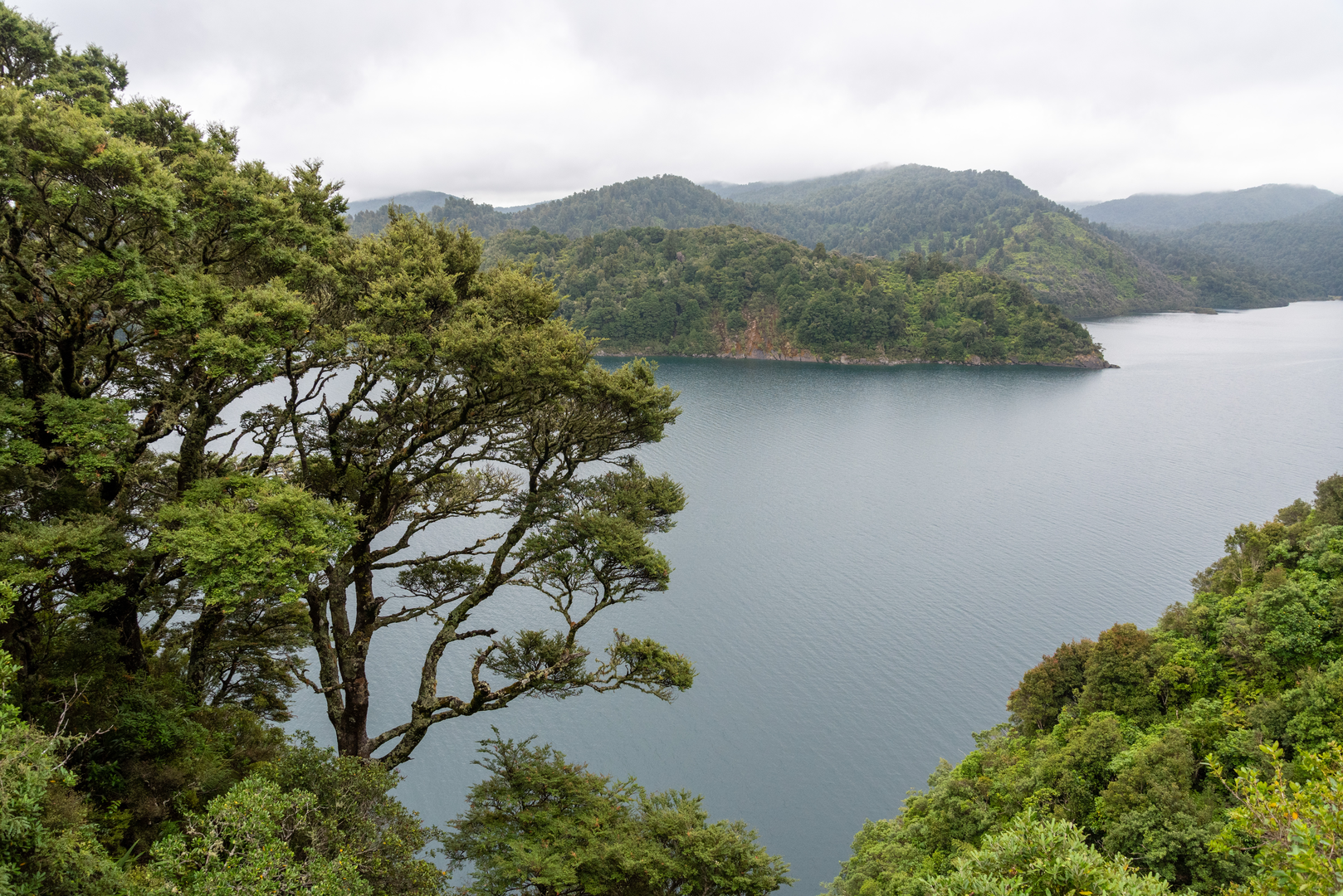 An image depicting the trail Ngamoko Track and its surrounding area.