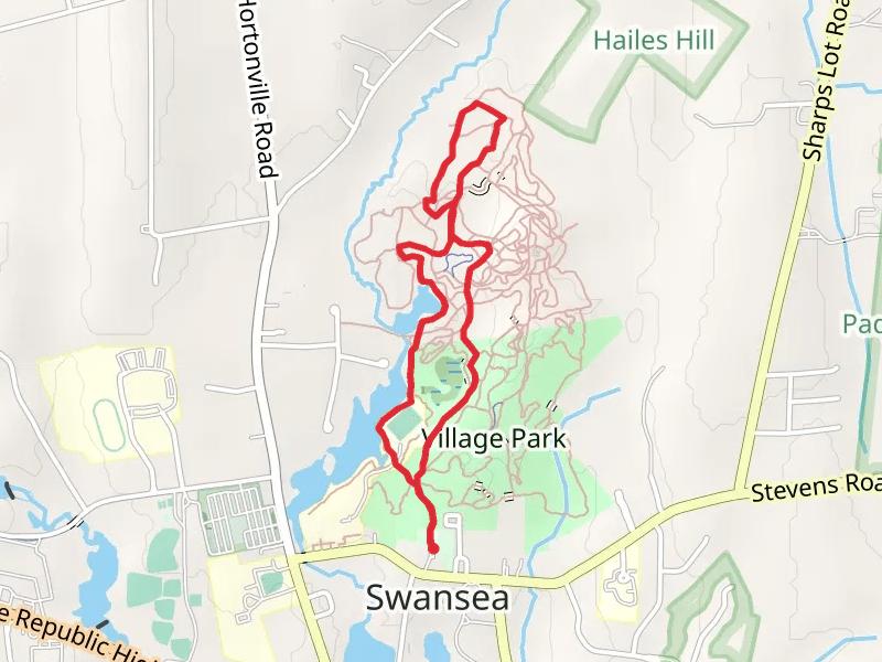 Lewin Brook - Pine Needles and Lakeside Trail