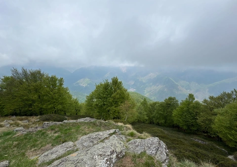 Monte Saccarello e Mazzocone - Giro ad anello e prolungamento verso il Belvedere di Quarna Sopra