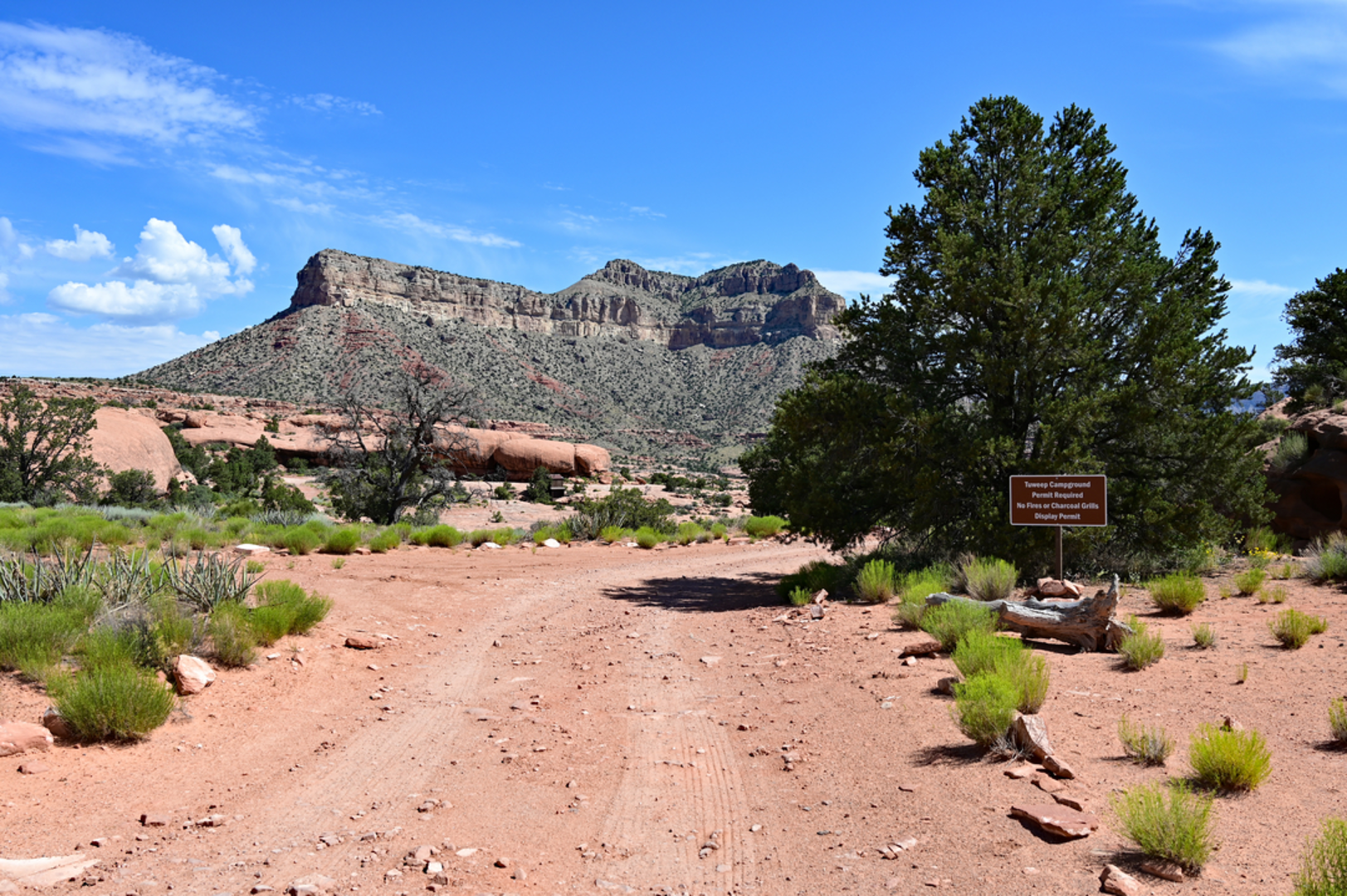 An image depicting the trail Saddle Horse Loop Trail and its surrounding area.