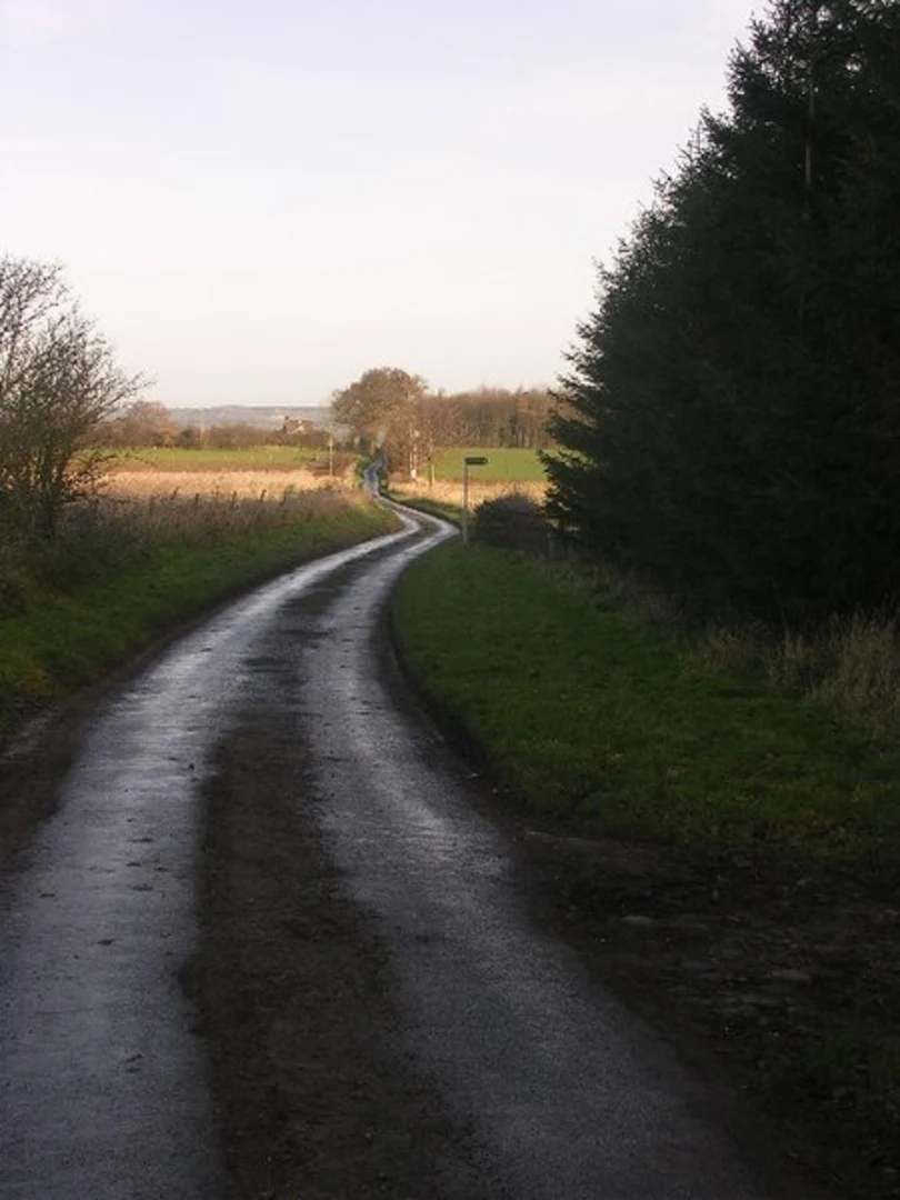 An image depicting the trail Piercebridge to Aldbrough St John Loop and its surrounding area.
