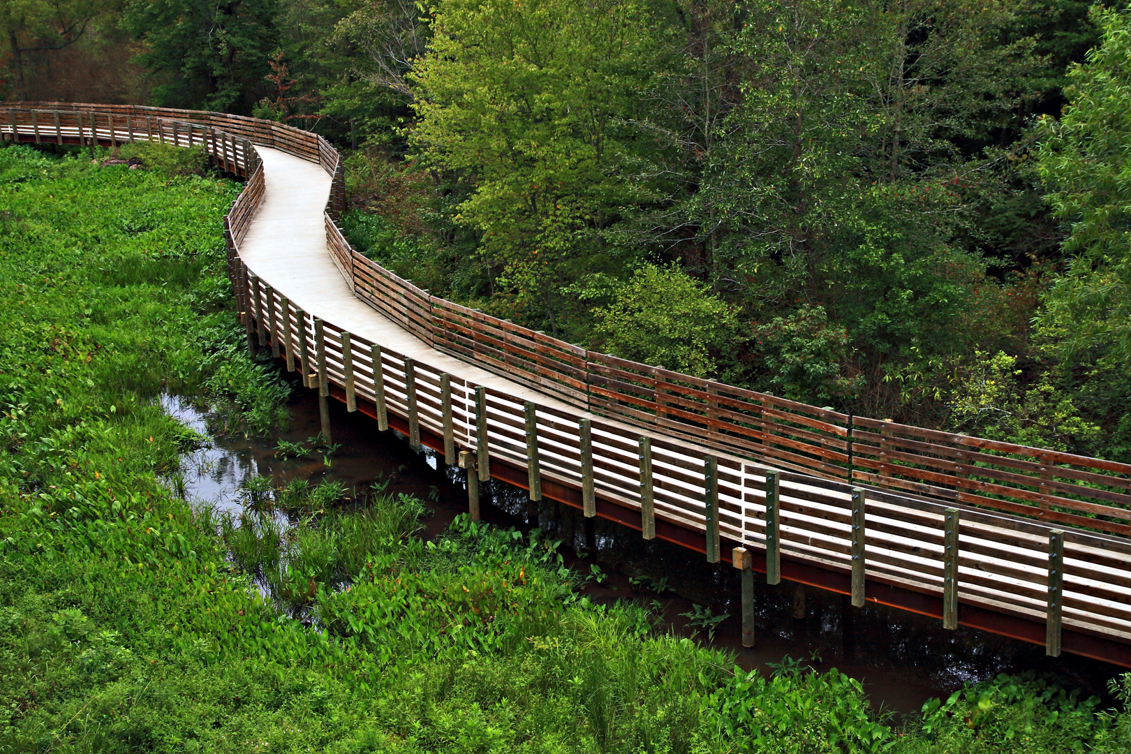 An image depicting the trail Silver Comet - Chief Ladiga Trail and its surrounding area.