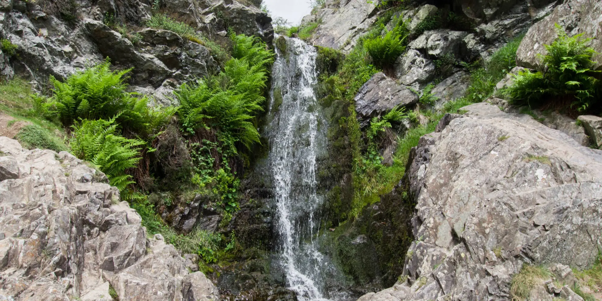 An image depicting the trail Lightspout Waterfall and Pole Bank from Carding Mill and its surrounding area.