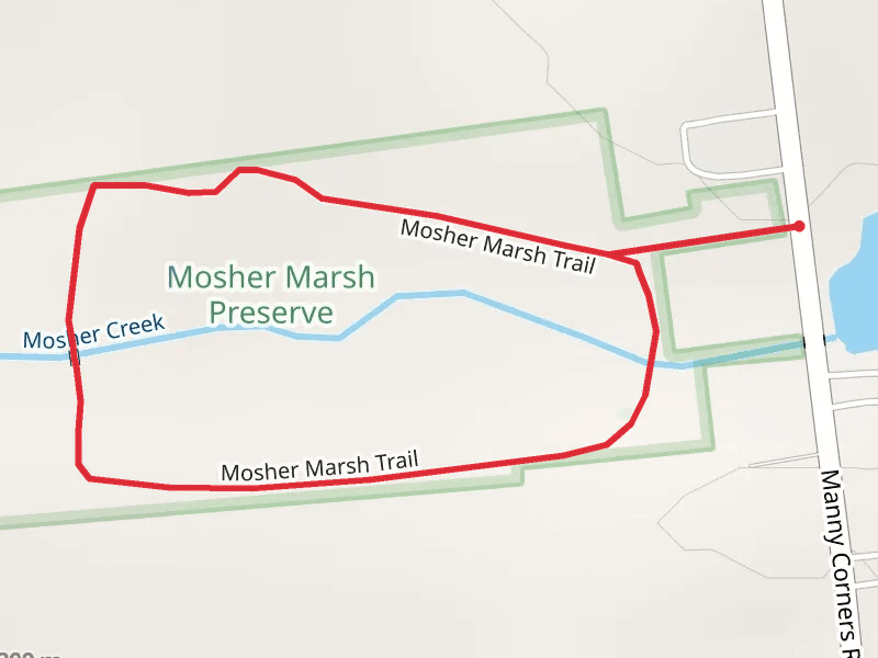 Mosher Marsh Loop Trail