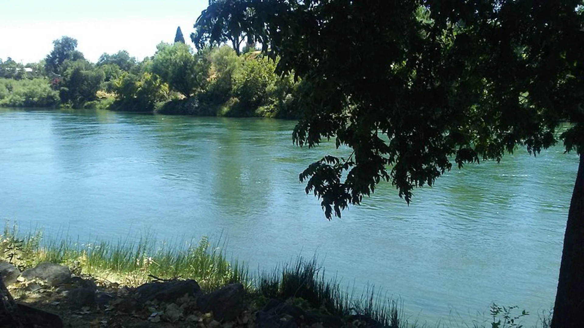 An image depicting the trail Shasta View Trail and its surrounding area.