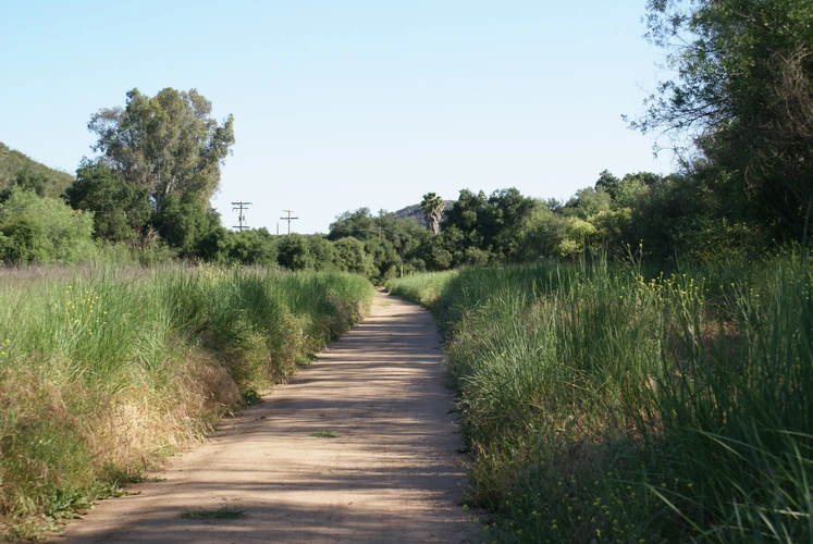 Sage Trail, Hidden Spring Trail and Cougar Ridge Trail Loop