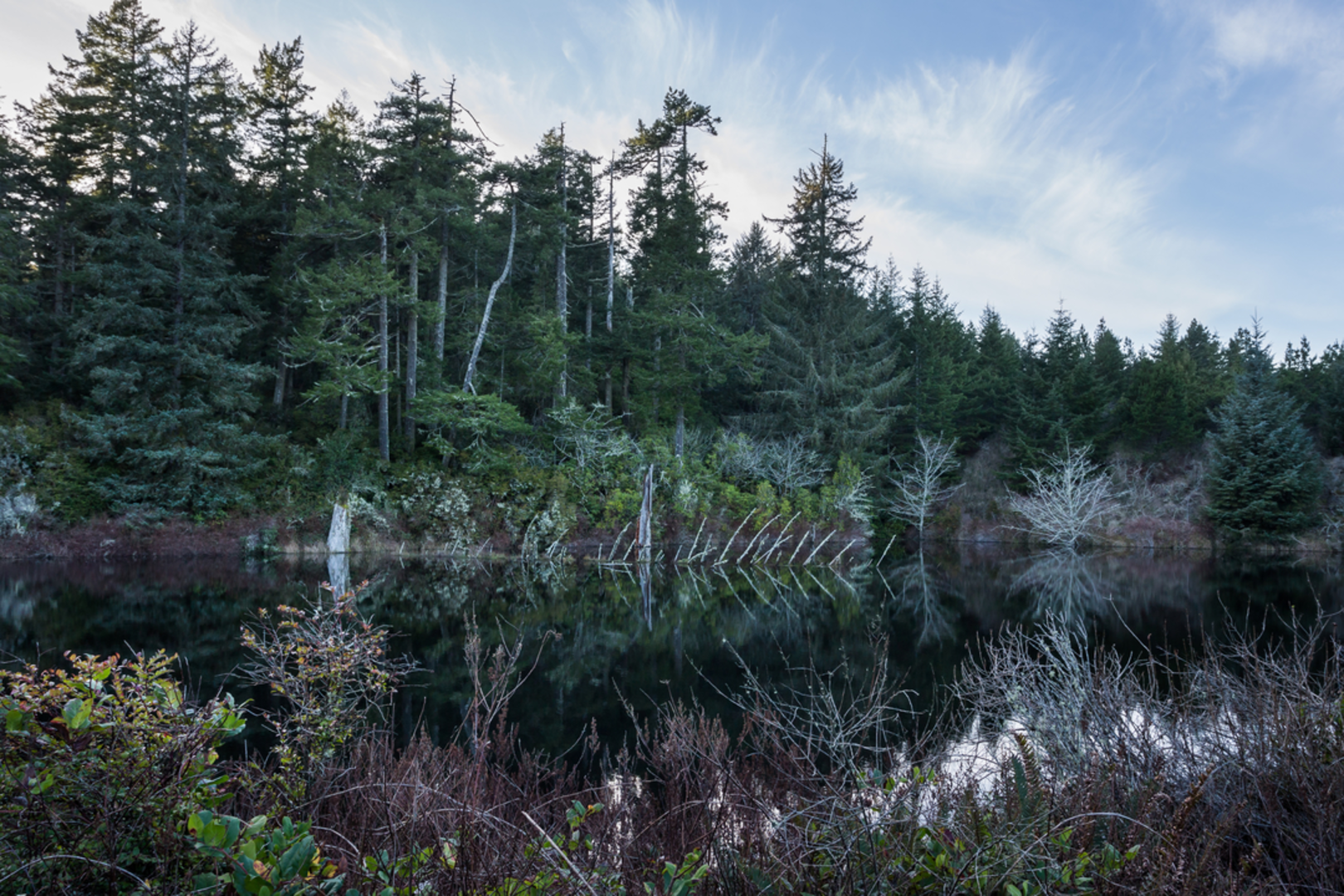 An image depicting the trail Alder Dune Trail and its surrounding area.
