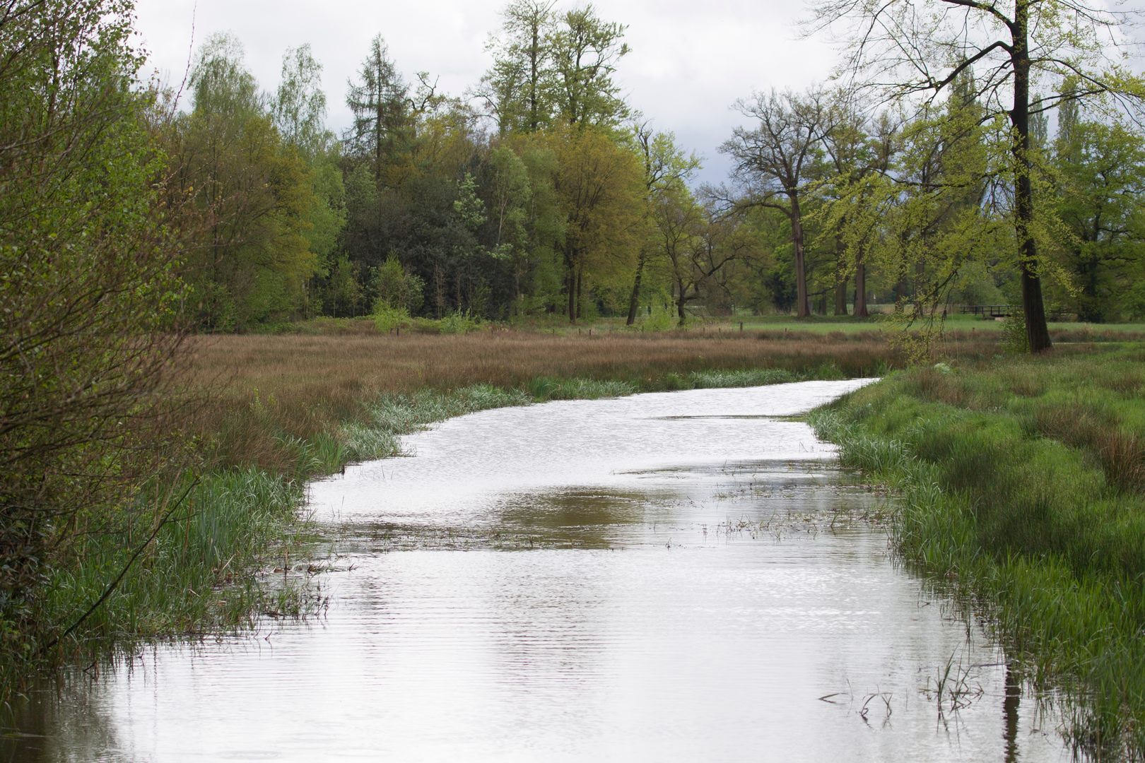 An image depicting the trail Enschede to Delden via Watermolenpad and its surrounding area.