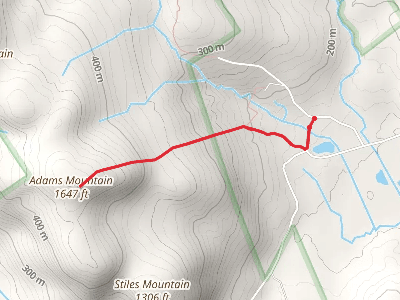 Adams Mountain Trail