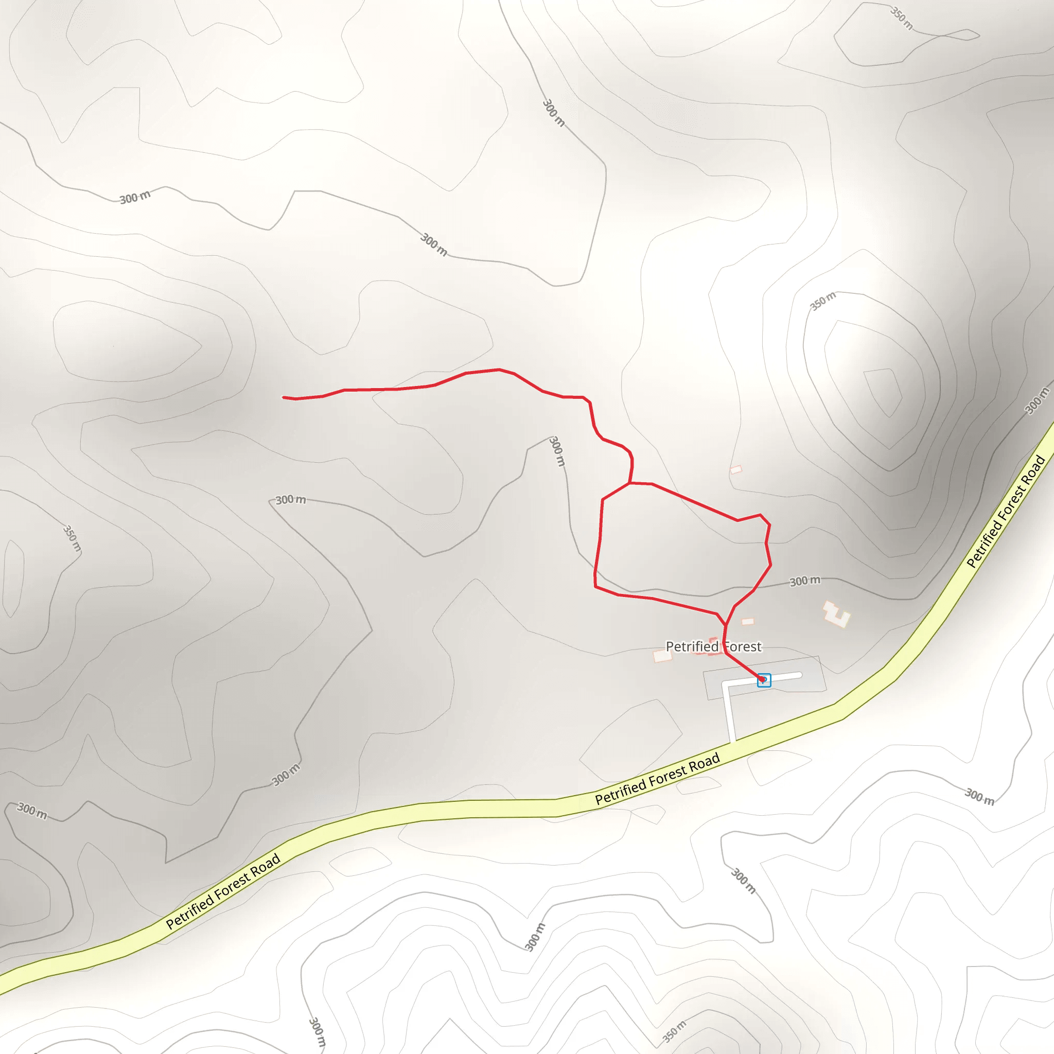 Petrified Forest Road Loop mobile static map