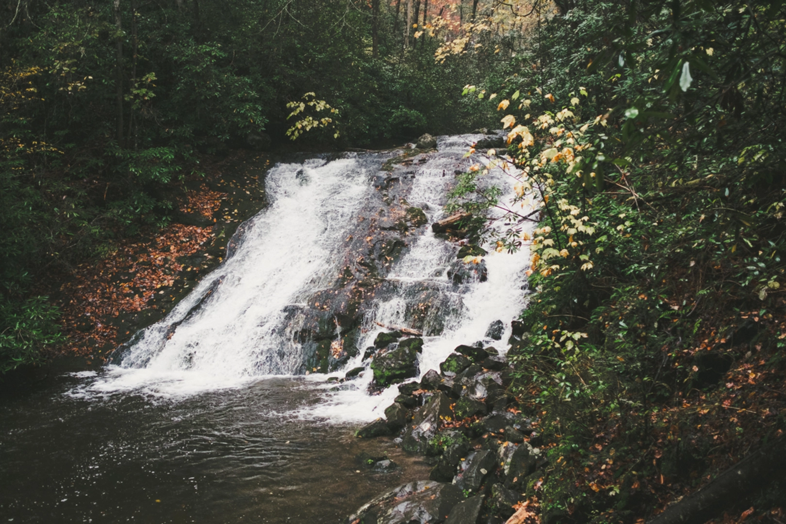 An image depicting the trail Thomas Divide and Indian Creek Motor Trail and its surrounding area.